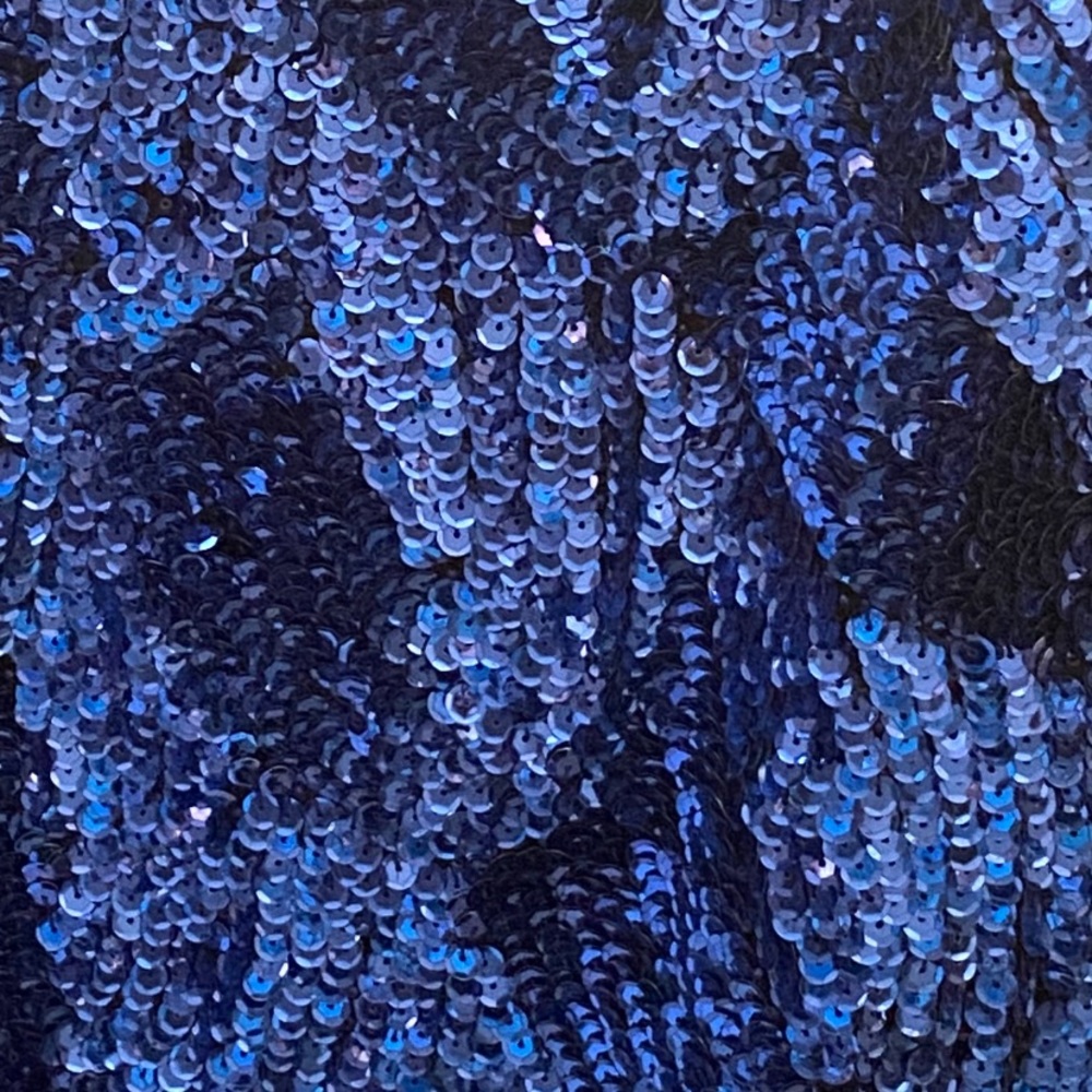 Beautiful, Brand New, Intricate, Sequined Top - Picture 4 of 12